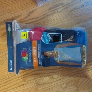 Lot of (5) T-shirts, Fruit of the Loom "A-shirt", Large 42-44 in. size